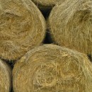 straw bales source image